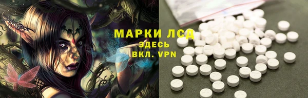 тгк Инсар