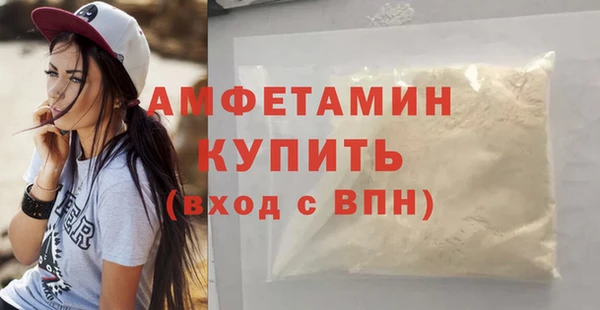 тгк Инсар