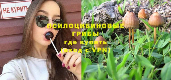 гидра Иннополис