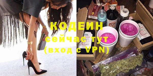 тгк Инсар