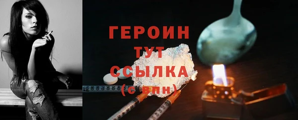 тгк Инсар