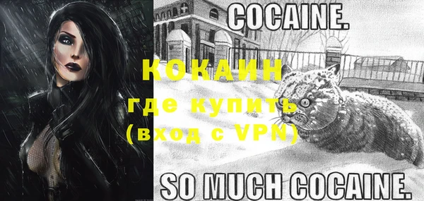 тгк Инсар
