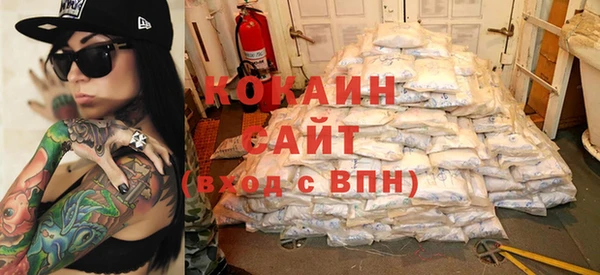 тгк Инсар