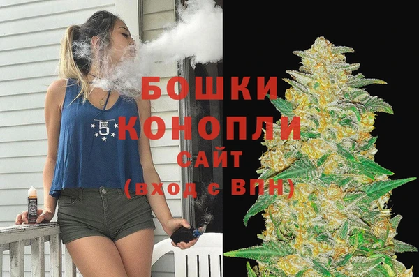 тгк Инсар