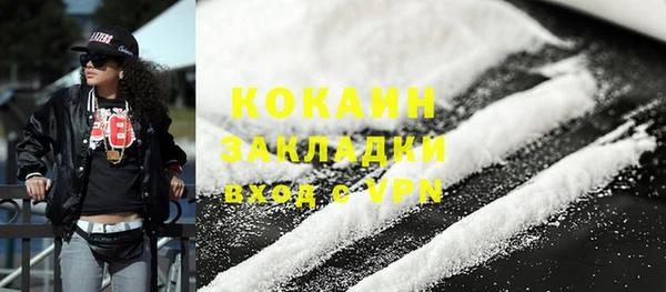тгк Инсар