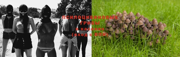 тгк Инсар