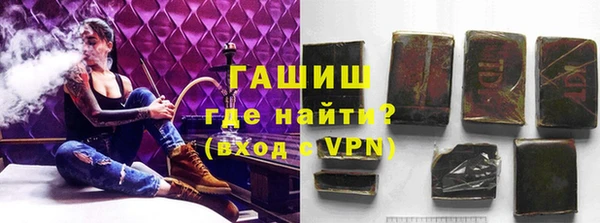 тгк Инсар