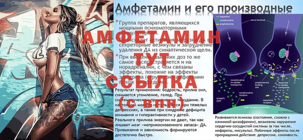тгк Инсар