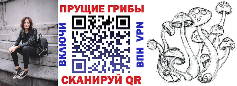 Галлюциногенные грибы GOLDEN TEACHER  Купить закладки  Исилькуль 